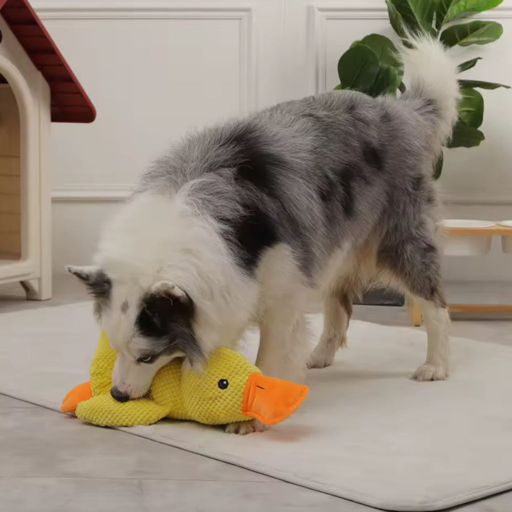 Plush Sleeping Duck Dog Toy