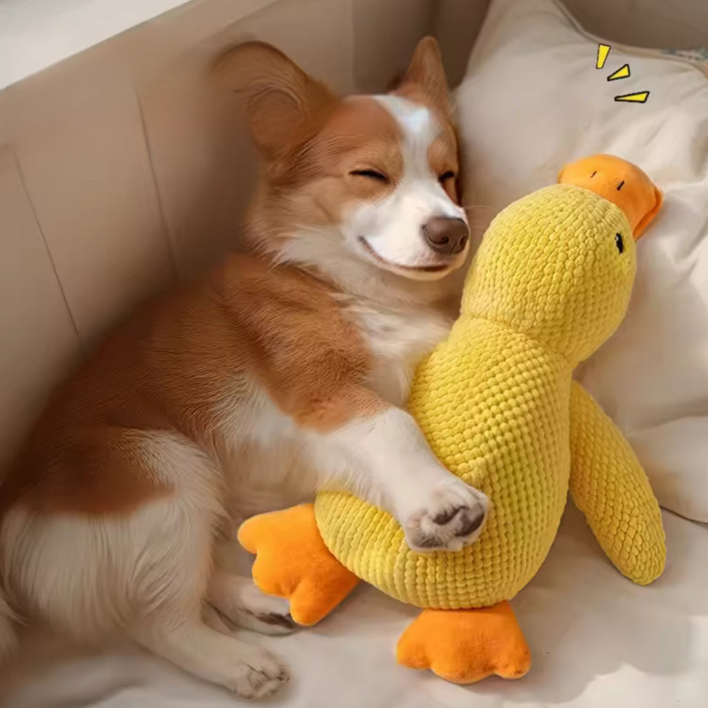 Plush Sleeping Duck Dog Toy